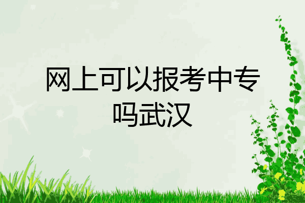 网上可以报考中专吗武汉