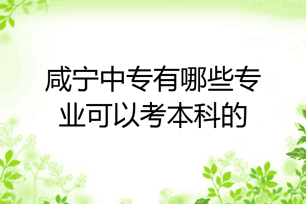 咸宁中专有哪些专业可以考本科的