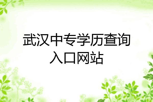 武汉中专学历查询入口网站