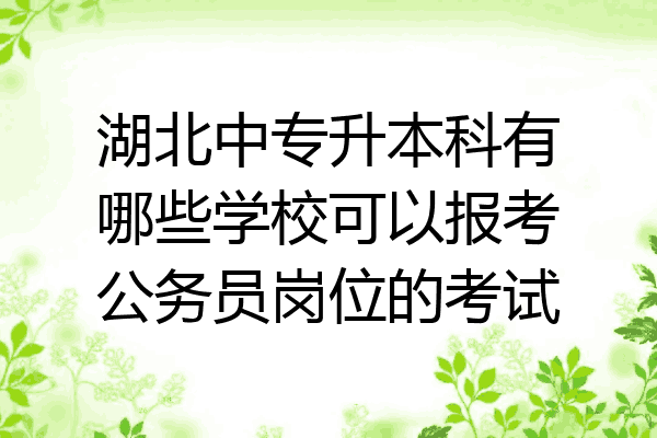 湖北中专升本科有哪些学校可以报考公务员岗位的考试