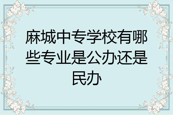 麻城中专学校有哪些专业是公办还是民办