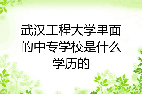 武汉工程大学里面的中专学校是什么学历的