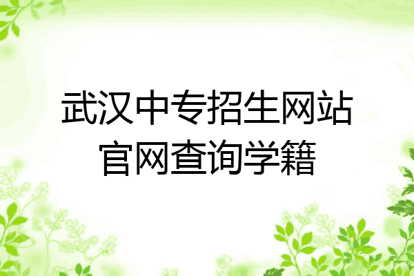 武汉中专招生网站官网查询学籍