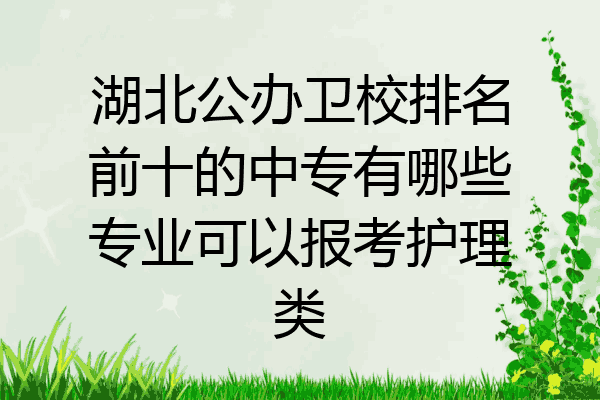 湖北公办卫校排名前十的中专有哪些专业可以报考护理类