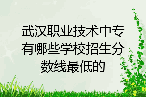 武汉职业技术中专有哪些学校招生分数线最低的