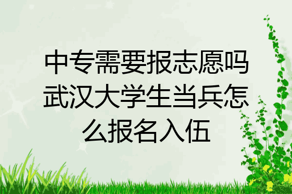 中专需要报志愿吗武汉大学生当兵怎么报名入伍