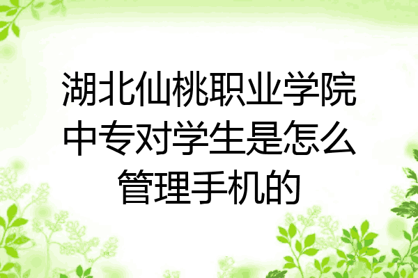 湖北仙桃职业学院中专对学生是怎么管理手机的