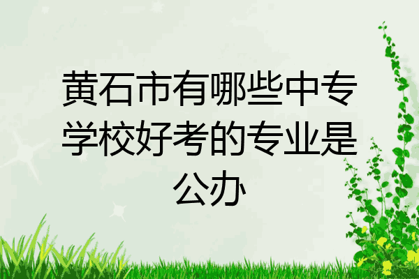 黄石市有哪些中专学校好考的专业是公办