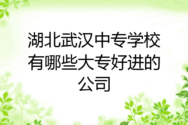 湖北武汉中专学校有哪些大专好进的公司