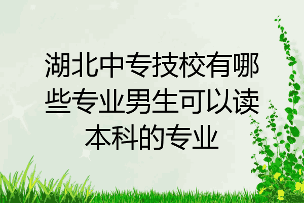 湖北中专技校有哪些专业男生可以读本科的专业