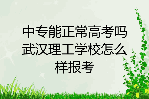 中专能正常高考吗武汉理工学校怎么样报考