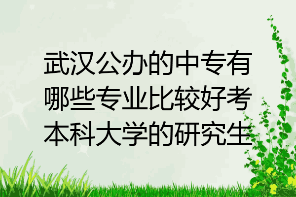 武汉公办的中专有哪些专业比较好考本科大学的研究生