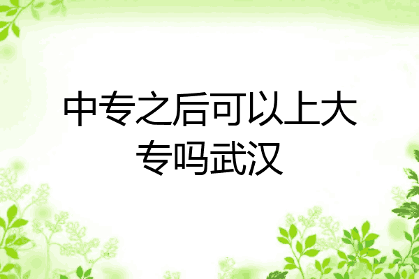 中专之后可以上大专吗武汉