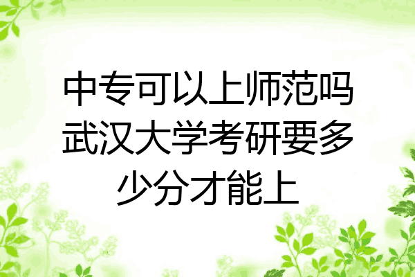 中专可以上师范吗武汉大学考研要多少分才能上