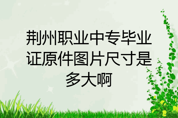 荆州职业中专毕业证原件图片尺寸是多大啊