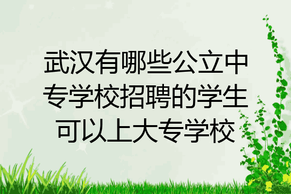 武汉有哪些公立中专学校招聘的学生可以上大专学校