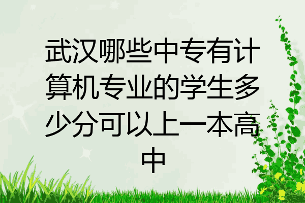 武汉哪些中专有计算机专业的学生多少分可以上一本高中