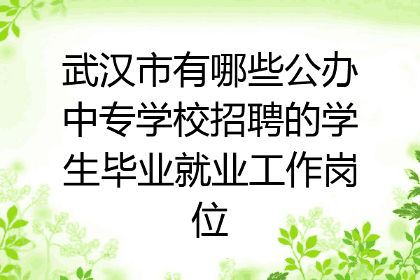 武汉市有哪些公办中专学校招聘的学生毕业就业工作岗位