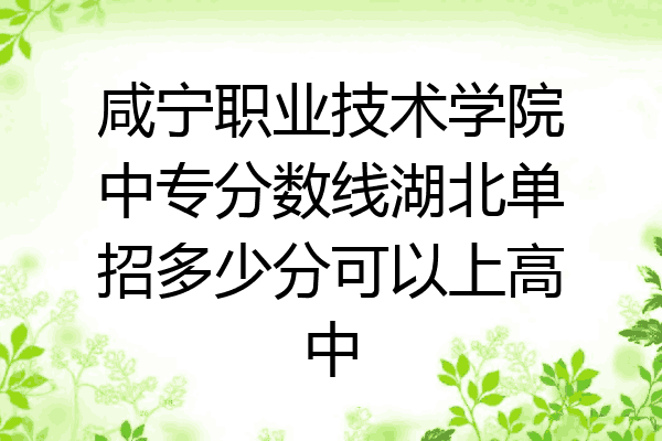 咸宁职业技术学院中专分数线湖北单招多少分可以上高中