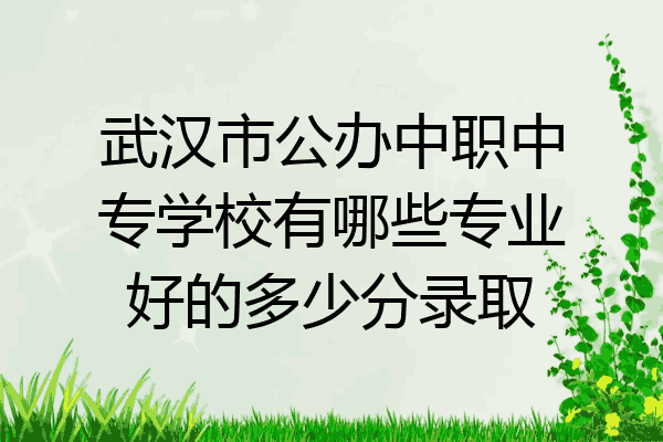 武汉市公办中职中专学校有哪些专业好的多少分录取