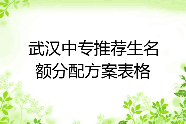 武汉中专推荐生名额分配方案表格