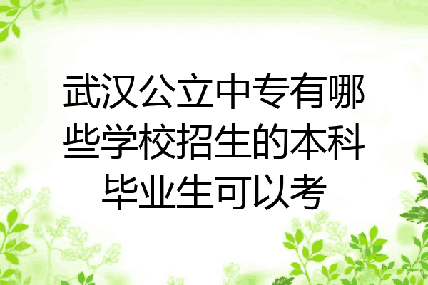 武汉公立中专有哪些学校招生的本科毕业生可以考