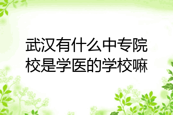 武汉有什么中专院校是学医的学校嘛