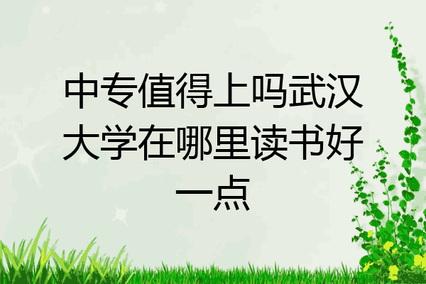 中专值得上吗武汉大学在哪里读书好一点