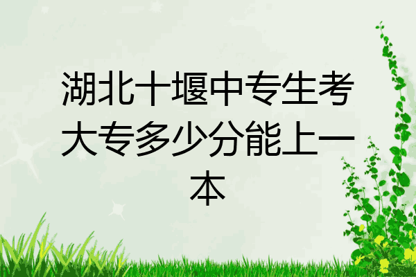 湖北十堰中专生考大专多少分能上一本
