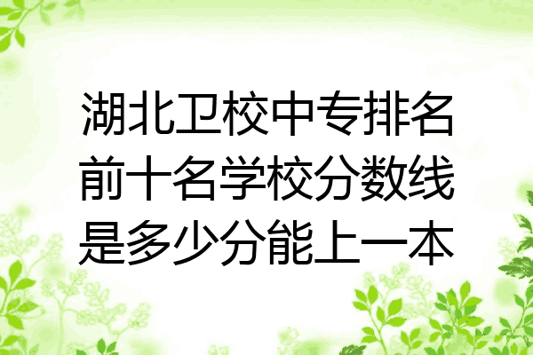 湖北卫校中专排名前十名学校分数线是多少分能上一本