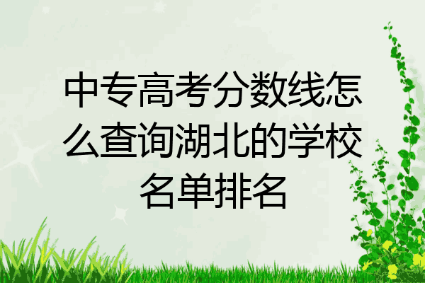 中专高考分数线怎么查询湖北的学校名单排名