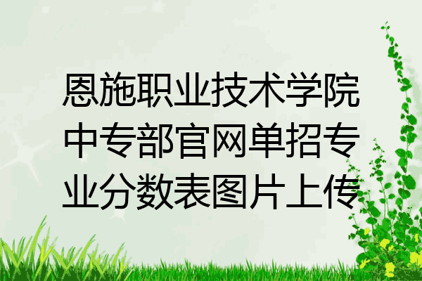 恩施职业技术学院中专部官网单招专业分数表图片上传
