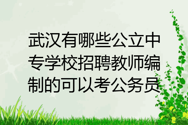 武汉有哪些公立中专学校招聘教师编制的可以考公务员