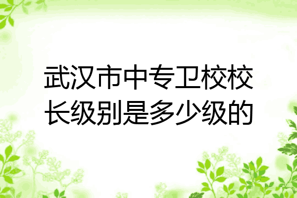 武汉市中专卫校校长级别是多少级的