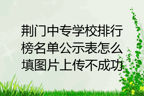 荆门中专学校排行榜名单公示表怎么填图片上传不成功
