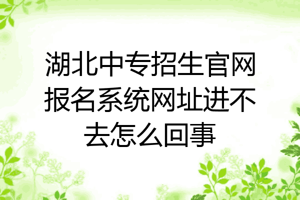 湖北中专招生官网报名系统网址进不去怎么回事