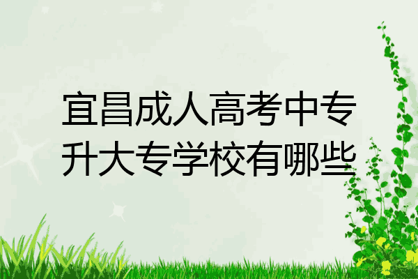 宜昌成人高考中专升大专学校有哪些