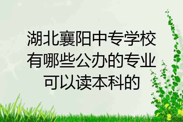 湖北襄阳中专学校有哪些公办的专业可以读本科的