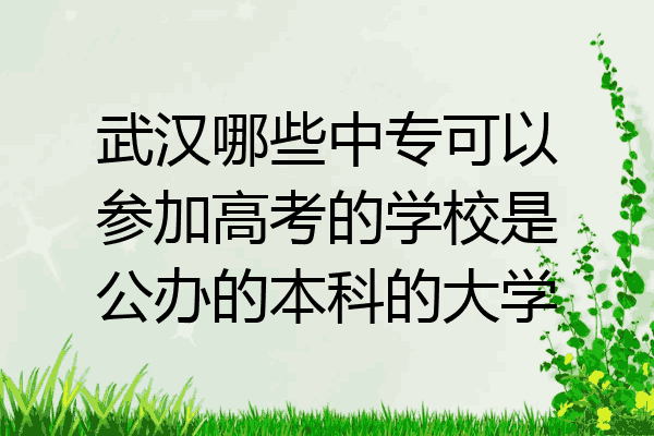 武汉哪些中专可以参加高考的学校是公办的本科的大学