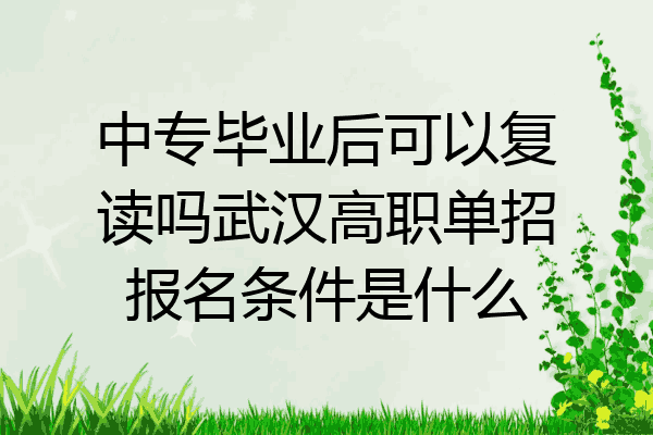 中专毕业后可以复读吗武汉高职单招报名条件是什么