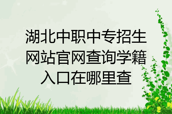 湖北中职中专招生网站官网查询学籍入口在哪里查