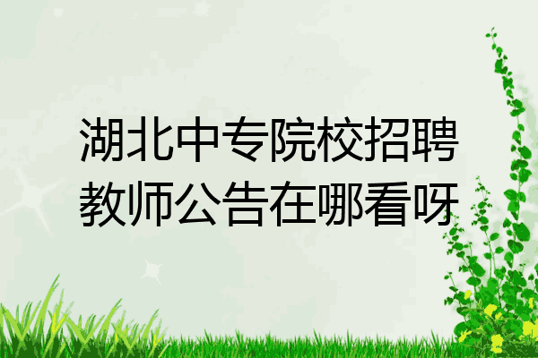 湖北中专院校招聘教师公告在哪看呀