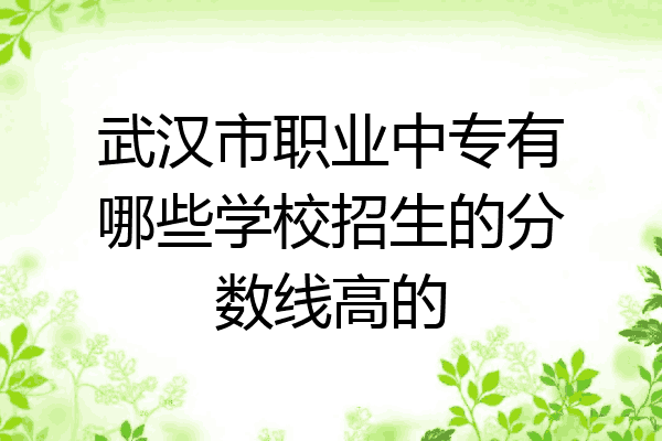 武汉市职业中专有哪些学校招生的分数线高的