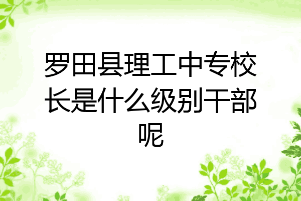罗田县理工中专校长是什么级别干部呢