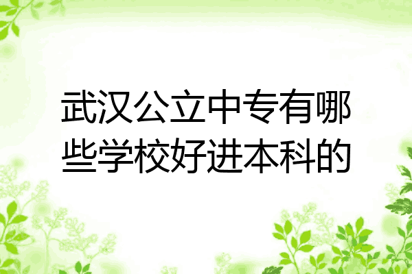 武汉公立中专有哪些学校好进本科的