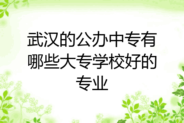 武汉的公办中专有哪些大专学校好的专业