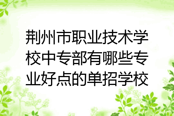 荆州市职业技术学校中专部有哪些专业好点的单招学校