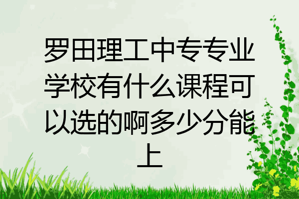 罗田理工中专专业学校有什么课程可以选的啊多少分能上