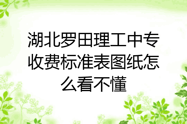 湖北罗田理工中专收费标准表图纸怎么看不懂