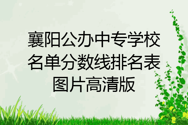 襄阳公办中专学校名单分数线排名表图片高清版